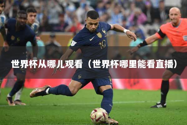 世界杯从哪儿观看（世界杯哪里能看直播）