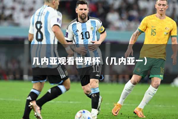 几内亚观看世界杯（几内亚一）