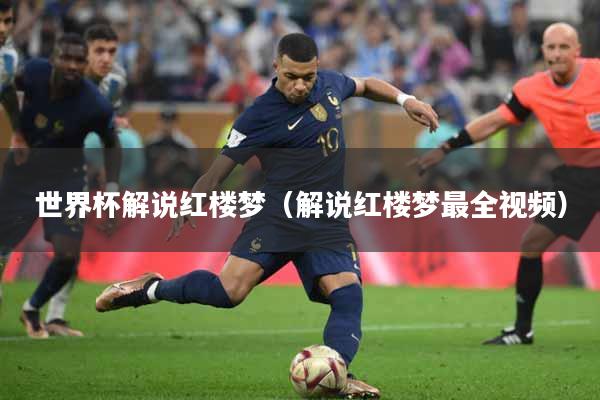世界杯解说红楼梦（解说红楼梦最全视频）