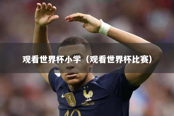 观看世界杯小学（观看世界杯比赛）