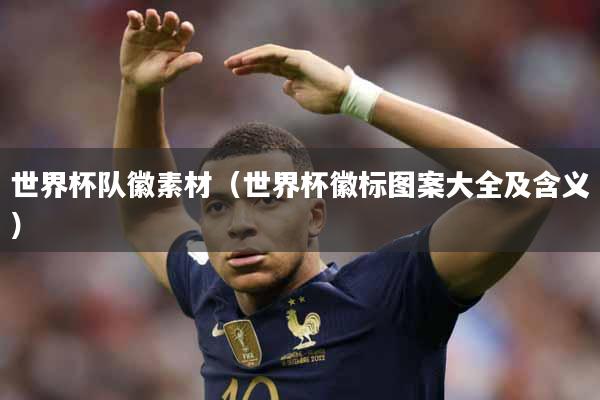 世界杯队徽素材（世界杯徽标图案大全及含义）