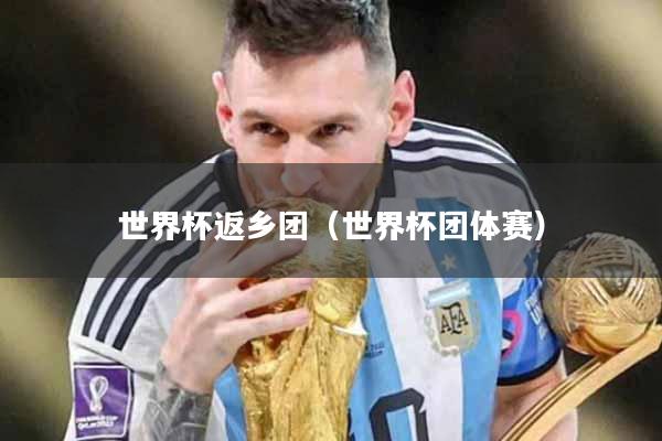 世界杯返乡团（世界杯团体赛）