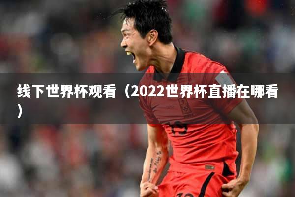线下世界杯观看（2022世界杯直播在哪看）