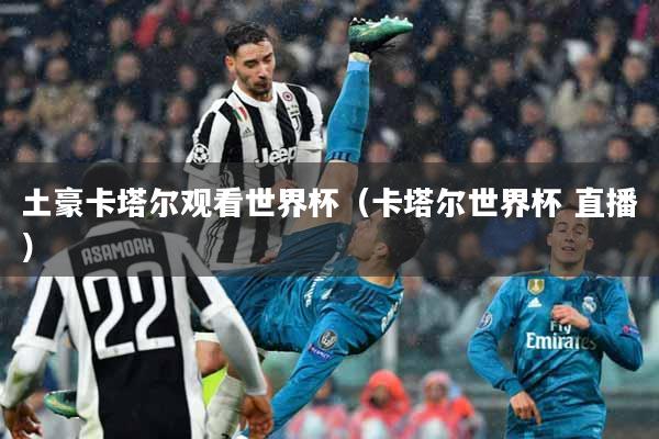 土豪卡塔尔观看世界杯（卡塔尔世界杯 直播）