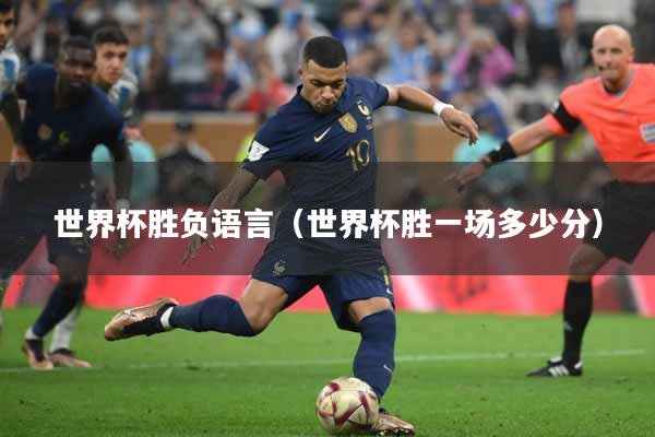 世界杯胜负语言（世界杯胜一场多少分）