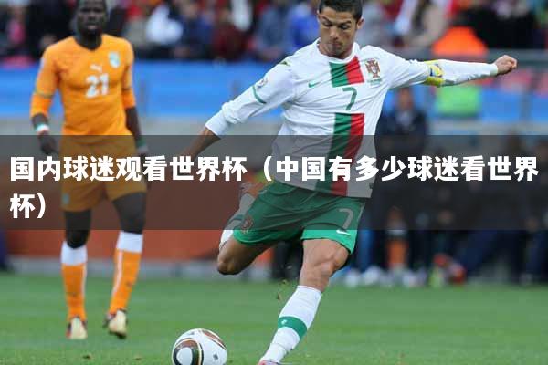国内球迷观看世界杯（中国有多少球迷看世界杯）