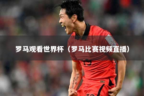 罗马观看世界杯（罗马比赛视频直播）