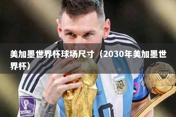 美加墨世界杯球场尺寸（2030年美加墨世界杯）