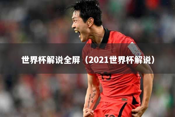 世界杯解说全屏（2021世界杯解说）