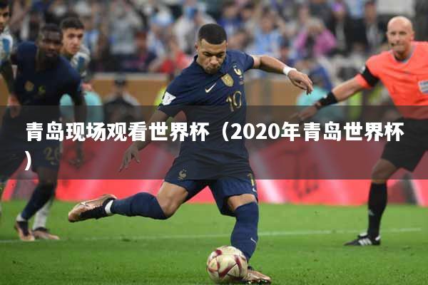 青岛现场观看世界杯（2020年青岛世界杯）
