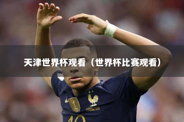 天津世界杯观看（世界杯比赛观看）