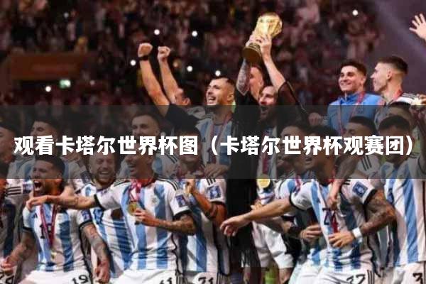 观看卡塔尔世界杯图（卡塔尔世界杯观赛团）