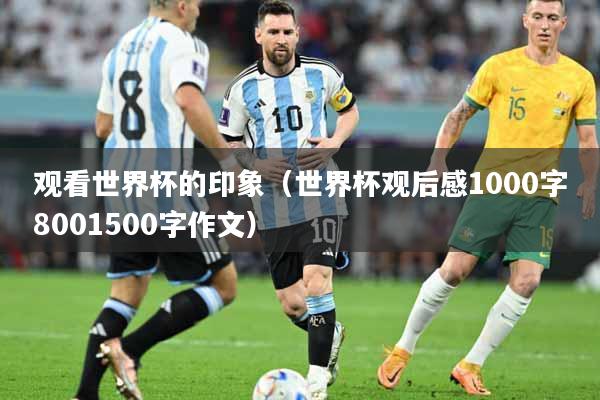 观看世界杯的印象（世界杯观后感1000字8001500字作文）