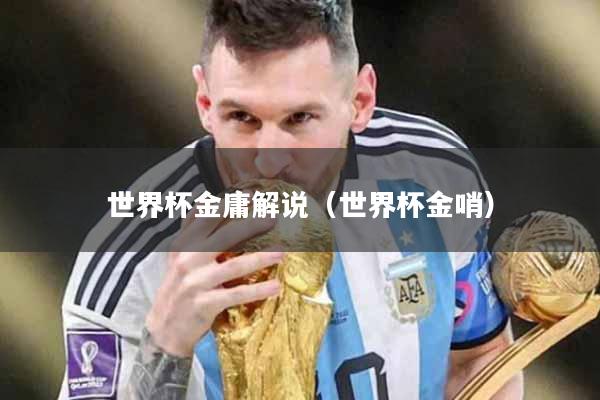世界杯金庸解说（世界杯金哨）