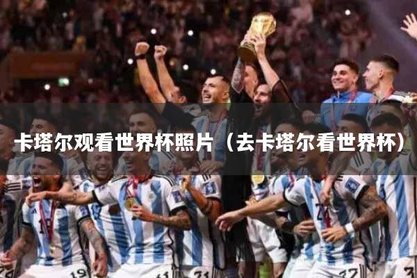 卡塔尔观看世界杯照片（去卡塔尔看世界杯）