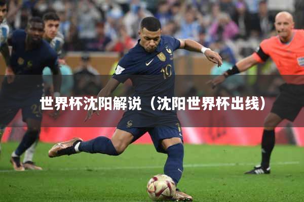 世界杯沈阳解说（沈阳世界杯出线）