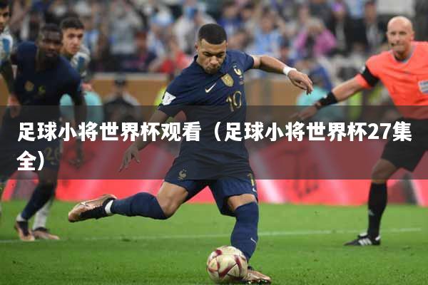 足球小将世界杯观看（足球小将世界杯27集全）
