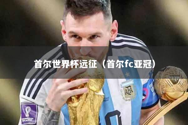 首尔世界杯远征（首尔fc亚冠）