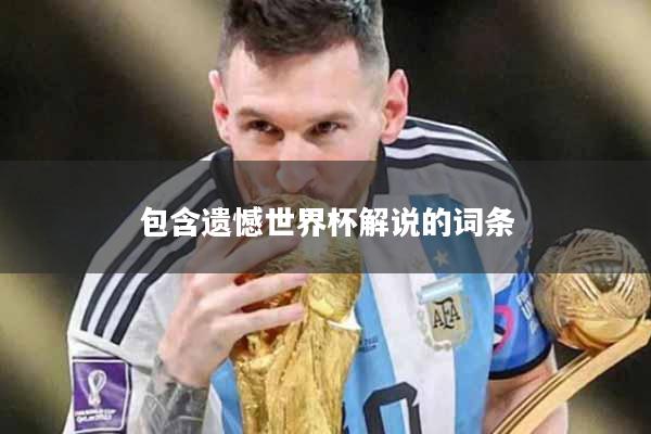 包含遗憾世界杯解说的词条