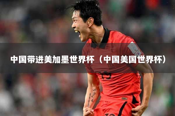中国带进美加墨世界杯（中国美国世界杯）