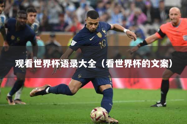 观看世界杯语录大全（看世界杯的文案）