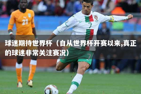 球迷期待世界杯（自从世界杯开赛以来,真正的球迷非常关注赛况）
