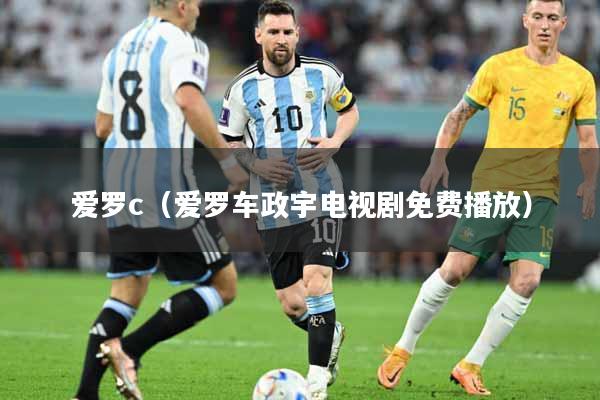 爱罗c（爱罗车政宇电视剧免费播放）