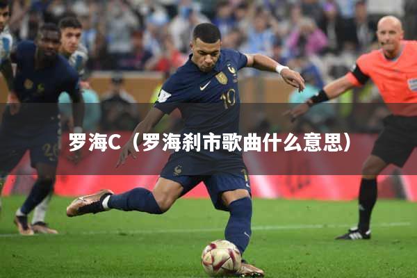 罗海C（罗海刹市歌曲什么意思）