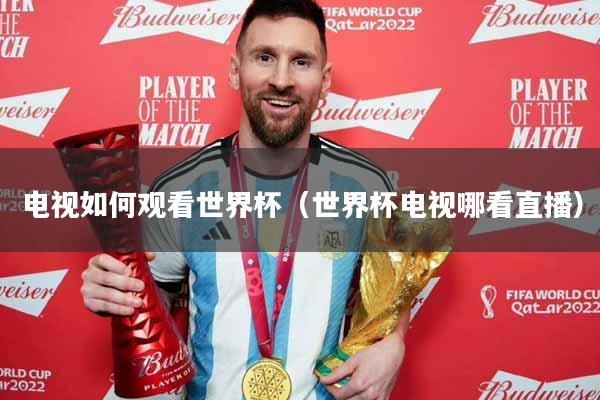 电视如何观看世界杯（世界杯电视哪看直播）