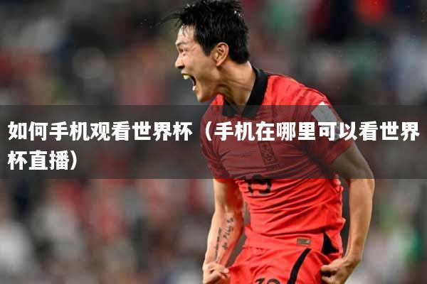 如何手机观看世界杯（手机在哪里可以看世界杯直播）