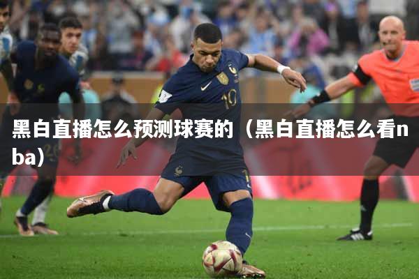黑白直播怎么预测球赛的（黑白直播怎么看nba）