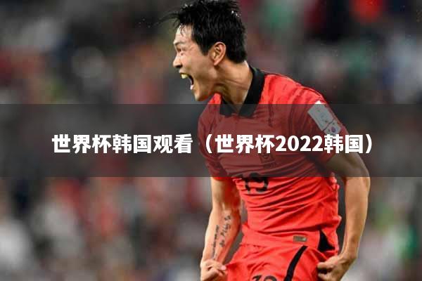 世界杯韩国观看（世界杯2022韩国）