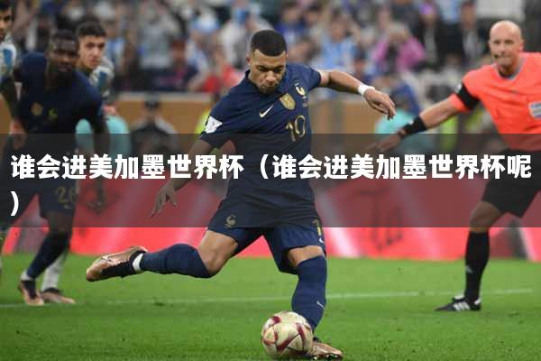 谁会进美加墨世界杯（谁会进美加墨世界杯呢）