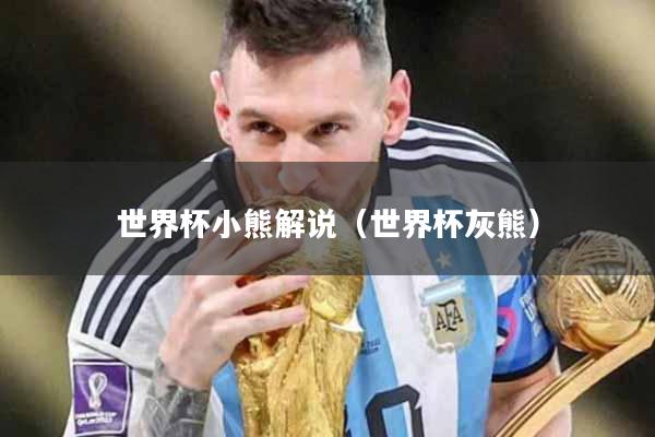 世界杯小熊解说（世界杯灰熊）
