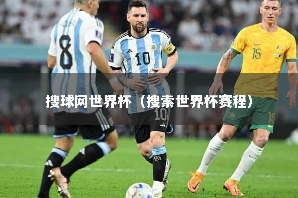 搜球网世界杯（搜索世界杯赛程）