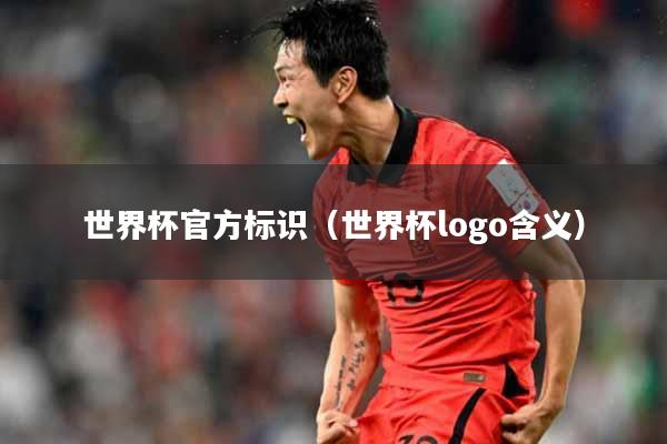 世界杯官方标识（世界杯logo含义）