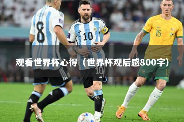 观看世界杯心得（世界杯观后感800字）