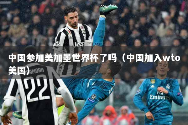 中国参加美加墨世界杯了吗（中国加入wto美国）