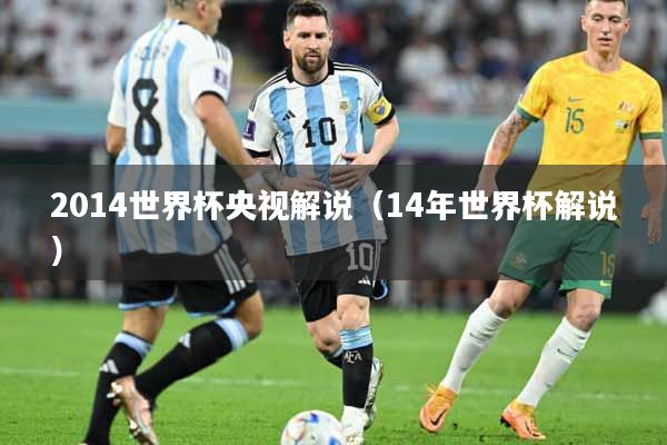 2014世界杯央视解说（14年世界杯解说）