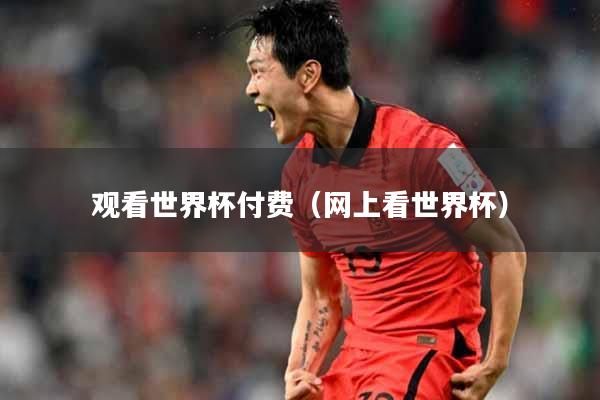 观看世界杯付费（网上看世界杯）