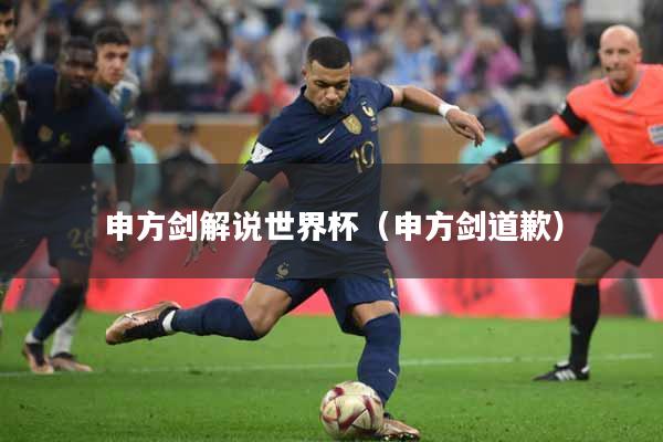 申方剑解说世界杯（申方剑道歉）
