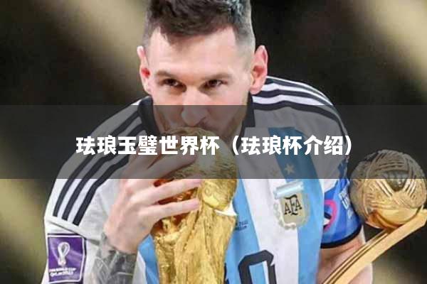 珐琅玉璧世界杯（珐琅杯介绍）