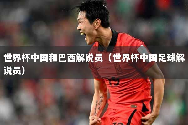 世界杯中国和巴西解说员（世界杯中国足球解说员）