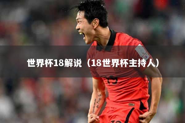 世界杯18解说（18世界杯主持人）