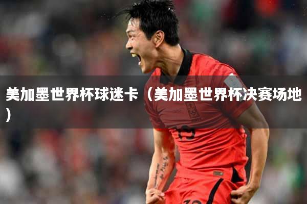 美加墨世界杯球迷卡（美加墨世界杯决赛场地）