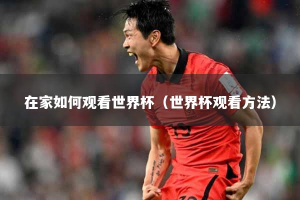 在家如何观看世界杯（世界杯观看方法）