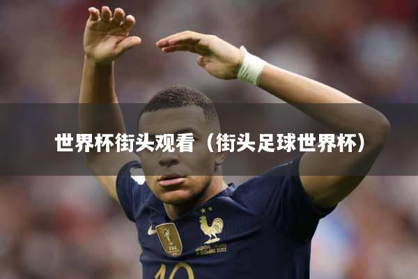 世界杯街头观看（街头足球世界杯）