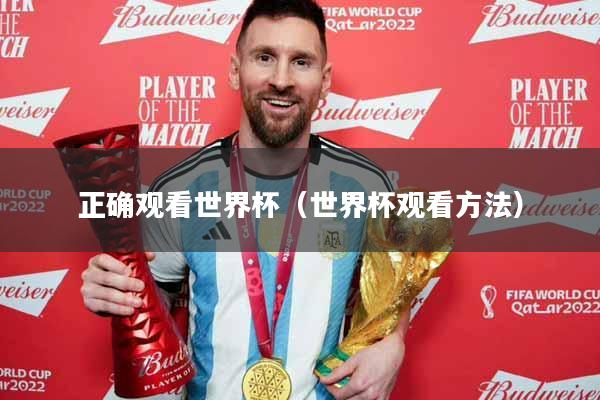 正确观看世界杯（世界杯观看方法）