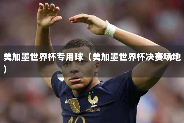 美加墨世界杯专用球（美加墨世界杯决赛场地）