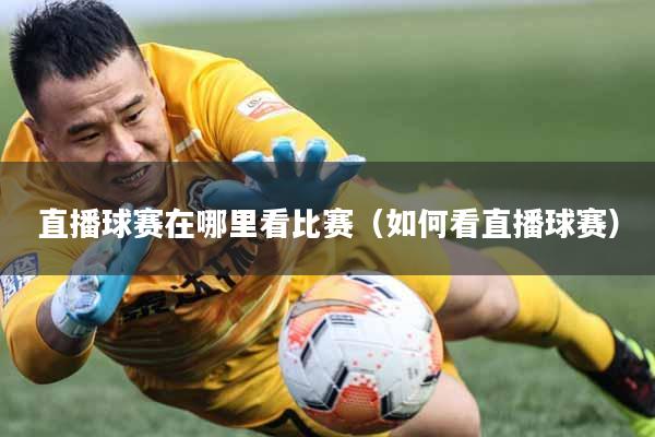 直播球赛在哪里看比赛（如何看直播球赛）